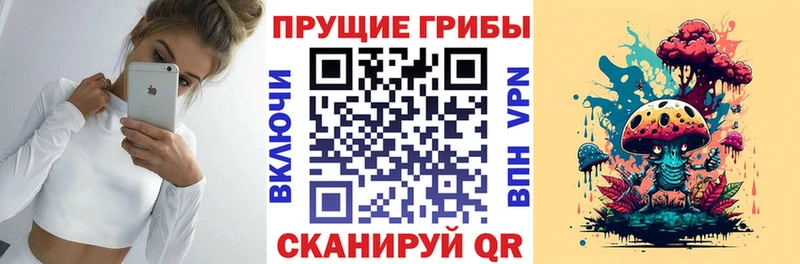 Галлюциногенные грибы ЛСД  Купить закладки  Правдинск 