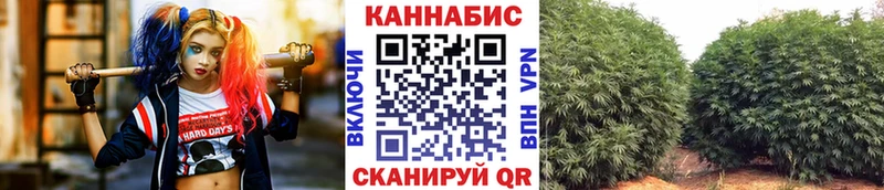 Купить где  Правдинск  Бошки Шишки марихуана 